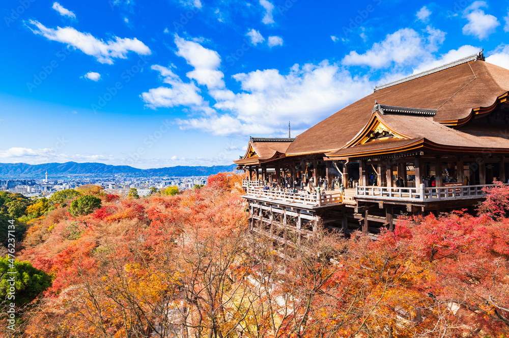 Fototapeta premium 京都 紅葉の清水寺