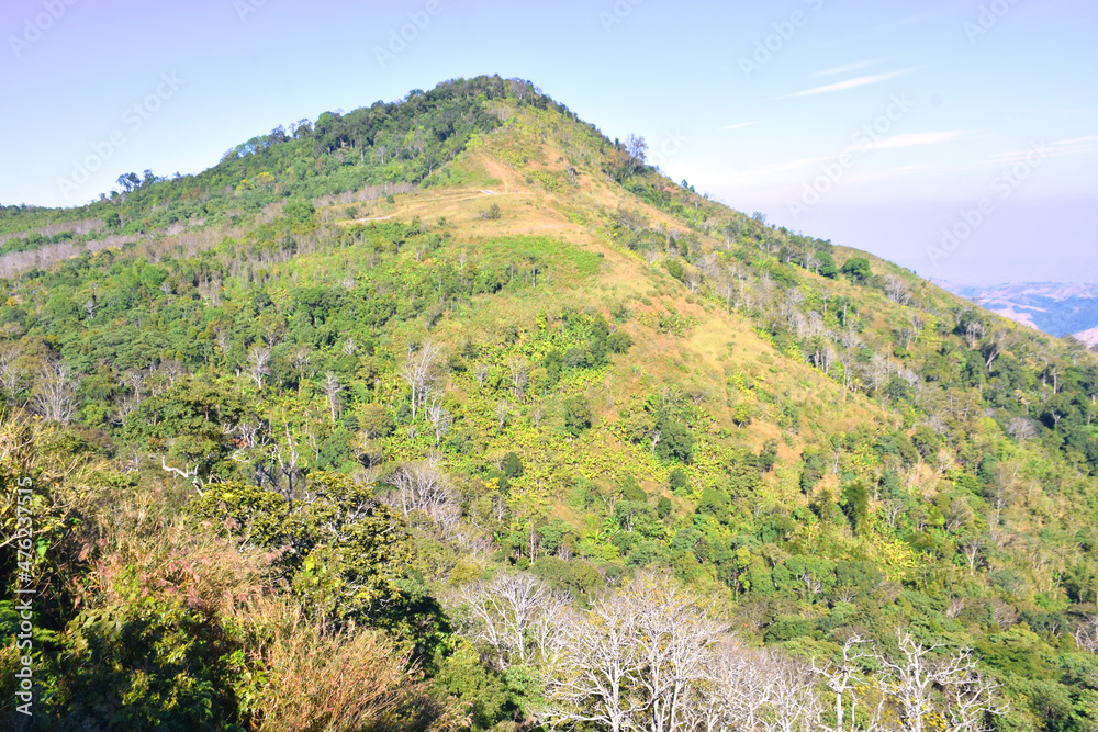 Fototapeta premium mountains, forests and ranches