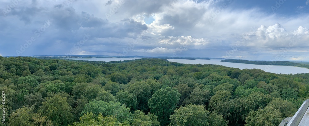 A beautiful forest on a spring day, Trees with lake in the background A beautiful forest on a spring day, Trees with lake in the background
