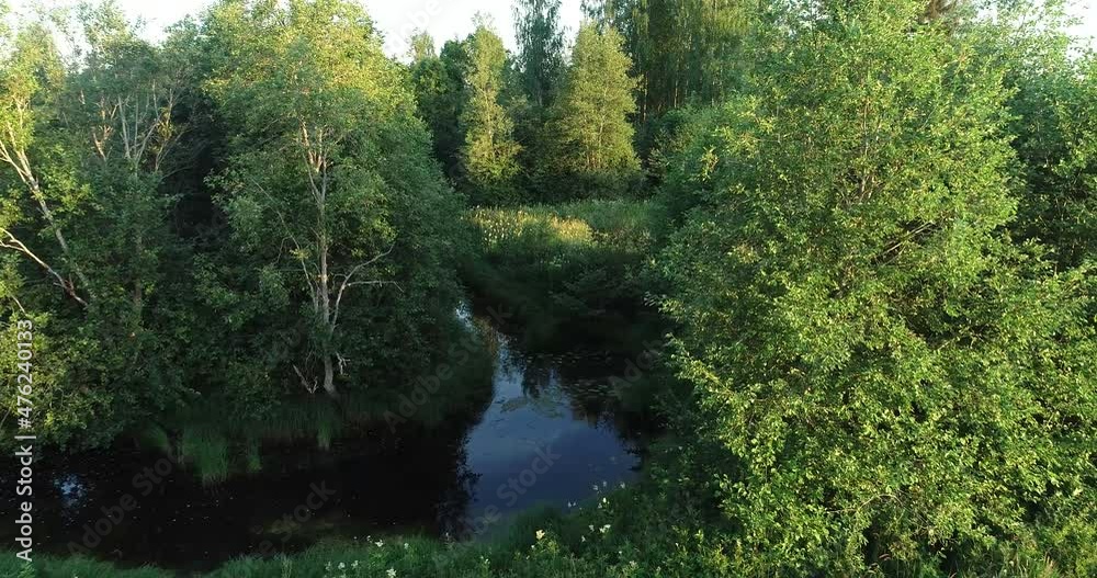 Flight through lush landscape with river on a summer evening in Estonia. Flight through lush landscape with river on a summer evening in Estonia.