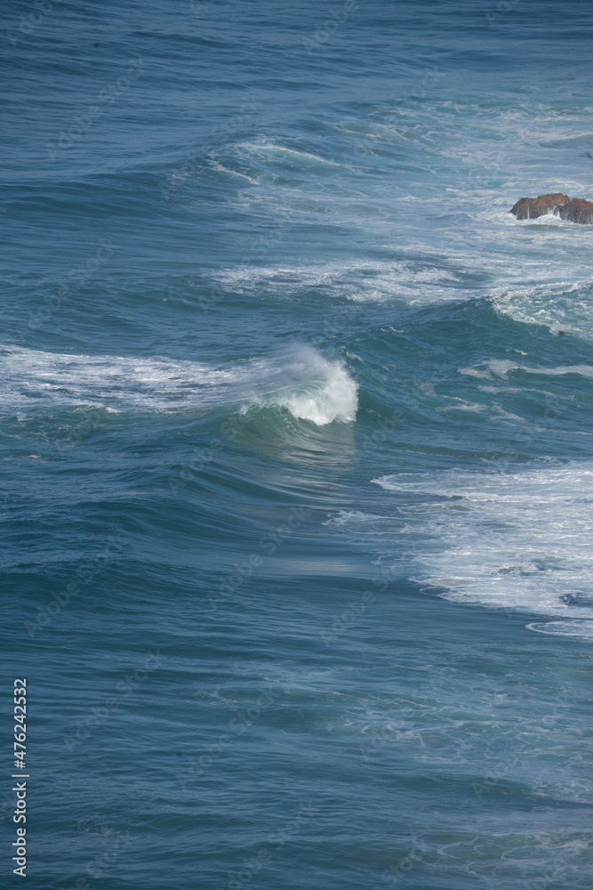 Obraz premium waves on the beach