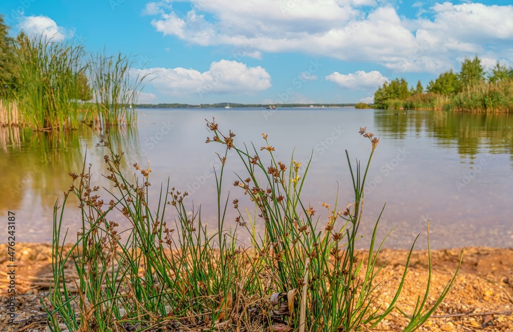 Naturparadies- Erholung am Cospudener See bei Leipzig