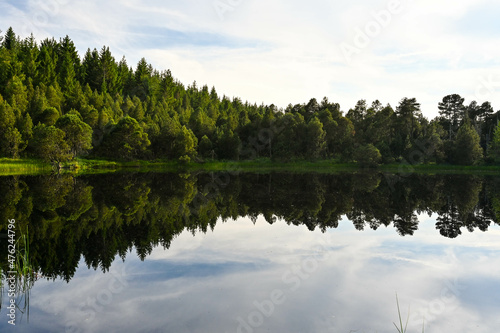 Trees of the Black Forest reflect in the clear, dark water of Lake Blindensee, Germany.