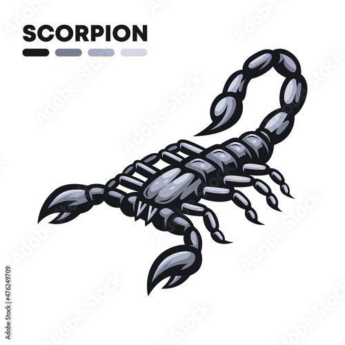 Scorpion Unique Vector Illustration Design