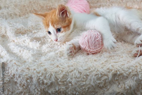 kitten is lying with a ball of pink threads