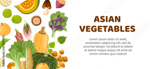 Asian vegetables banner for farmers market, supermarket, menu, recipes. Exotic food from Korea, Japan, China. Oriental cuisine ingredients. Vector cartoon flat illustrations.