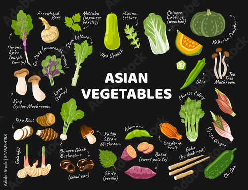 Asian vegetables banner for farmers market, supermarket, menu, recipes. Exotic food from Korea, Japan, China. Oriental cuisine ingredients. Vector cartoon flat illustrations.