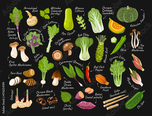 Set of asian exotic vegetables on black background with white chalk inscriptions. Korean, japanese, chinese ingredients and food. Vector hand drawn flat illustrations for restaurant menu, recipes.