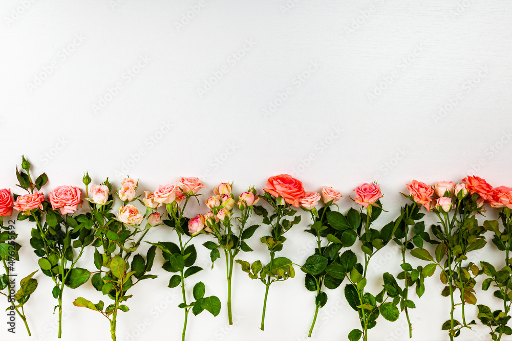 Border of pink roses. Place for your text.