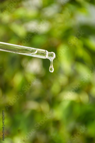 Transparent round drop of hyaluronic acid, serum or oil from a glass pipette on a green background. Stylish concept of organic essences, beauty and health products. Skin care, hydration.