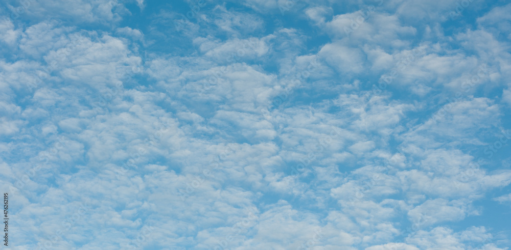The image with a texture of light, fluffy clouds on the background of a blue sky. The image with a texture of light, fluffy clouds on the background of a blue sky.