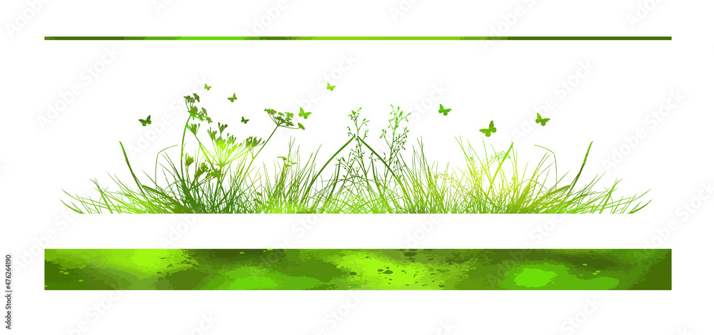 Green grass. The horizontal line of the grass. Summer meadow with flowers and butterflies. Vector illustration