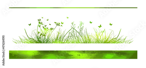 Green grass. The horizontal line of the grass. Summer meadow with flowers and butterflies. Vector illustration