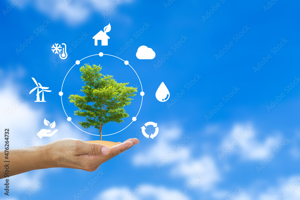 Hand holding big tree over the sky with saving energy icon. Demonstrates energy savings and turns to solar and natural energy. Saving energy is helping both ourselves and the planet.