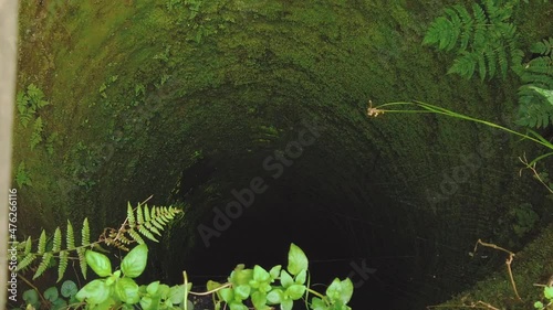 Dark deep old well overgrown with green moss and cobweb. Abandoned hollow spooky waterwell with fern and spiderweb in forest, top view photo