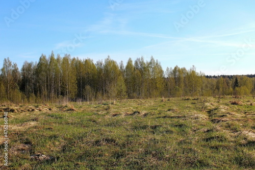 beautiful photo of the landscape of spring nature. Unique image for decoration and use.