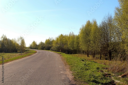 dirt road surrounded by green plants on a sunny summer day. Unique image for decoration © jakov