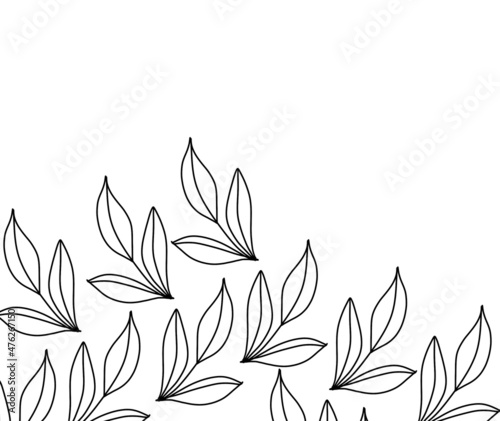 black and white flowers leaf Leaves 