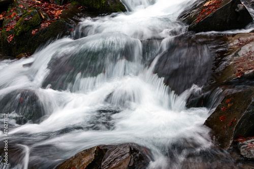 Waterfall and forest stream
