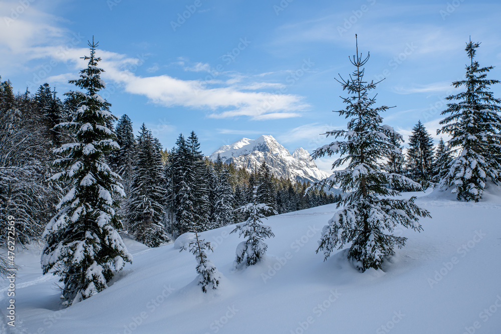 Idyllic snow-covered landscape with mountain range in the background, Unken, Pinzgau, Salzburger Land, Austria
