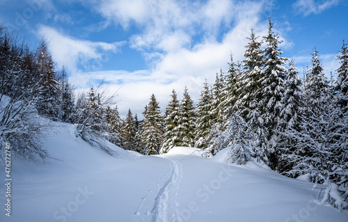 Hiking trail in snow-covered landscape, Unken, Pinzgau, Salzburger Land, Austria