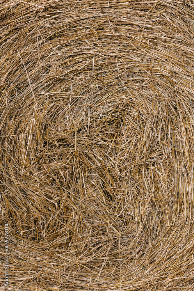 Haystacks gathered in a circle on a large field. A clear summer day, with a house in the background. Haystacks gathered in a circle on a large field. A clear summer day, with a house in the background.