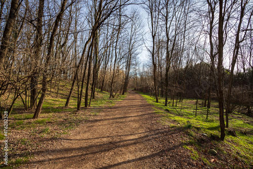 sentiero nel parco del Lura