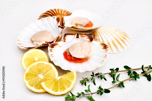 Foto Raw scallops in shells with lemon and herbs on white background
