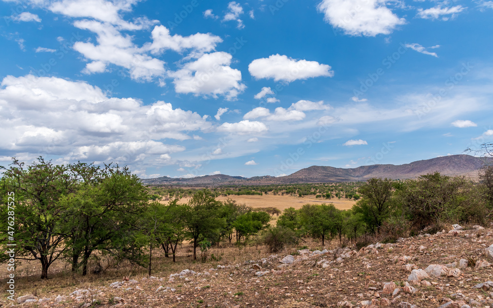 Landscape View of Serengeti Park in Tanzania