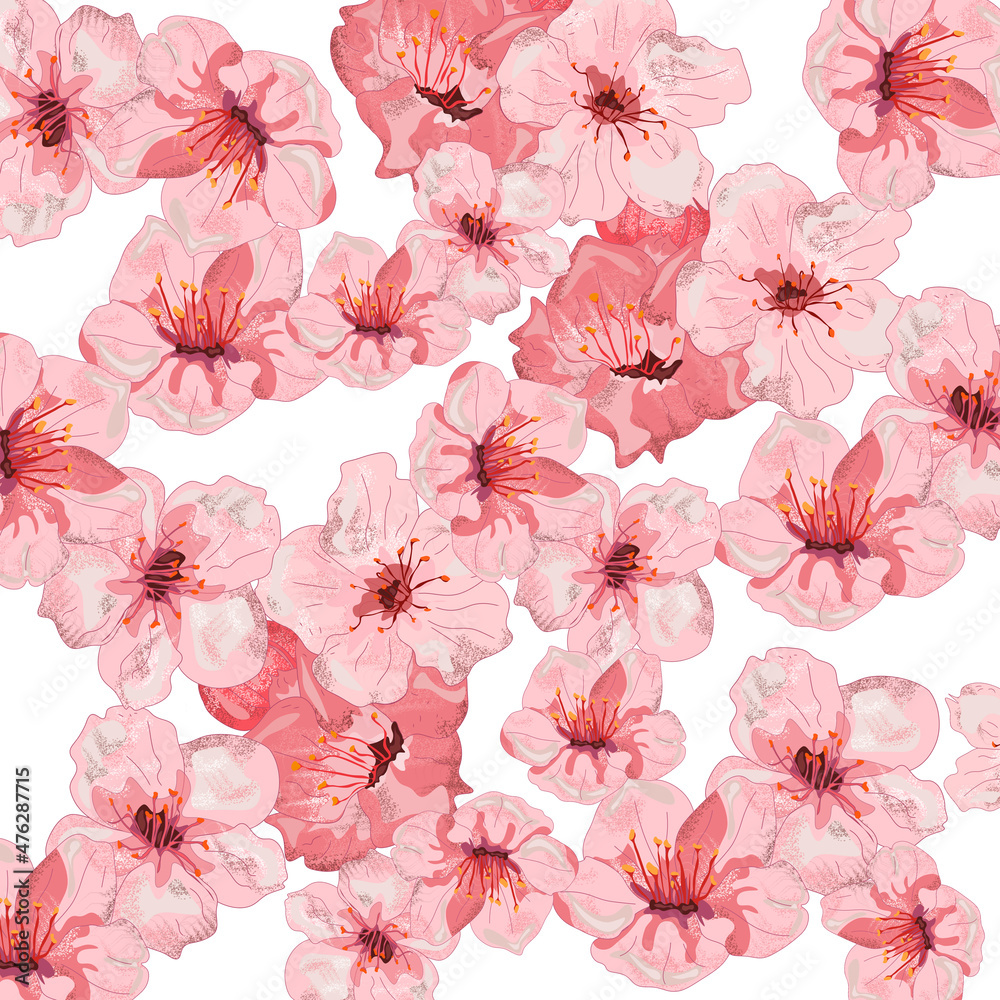 Ilustracja różowe kwiaty wiśni na białym tle - obrazy, fototapety, plakaty 