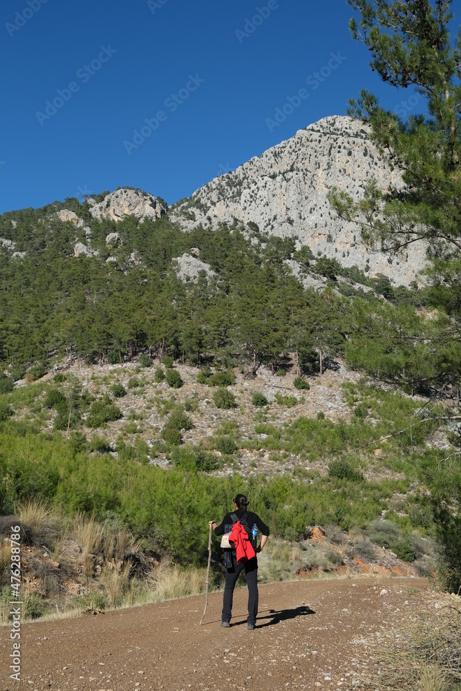 hiker in the hilltop