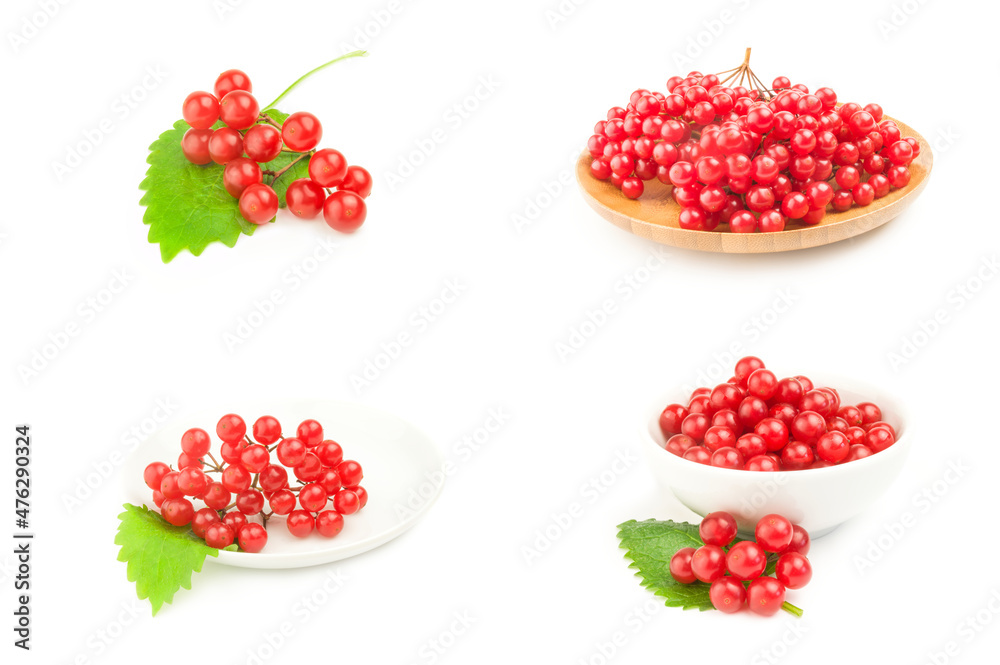 Collage of red berries of a guelder-rose isolated on a white background cutout Collage of red berries of a guelder-rose isolated on a white background cutout