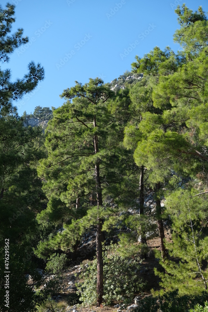 Obraz premium where it goes, who knows