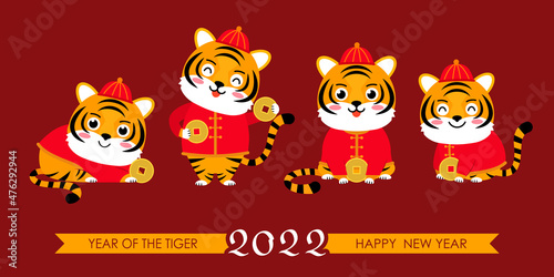 set of tiger cubs in traditional Chinese costume with gold money. happy chinese new year.
