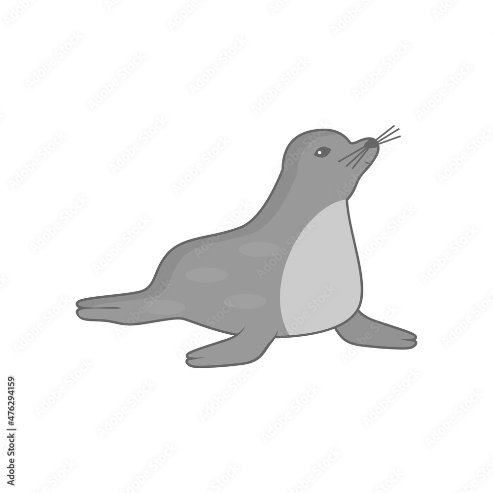 Cute seal animal cartoon isolated on white background, vector