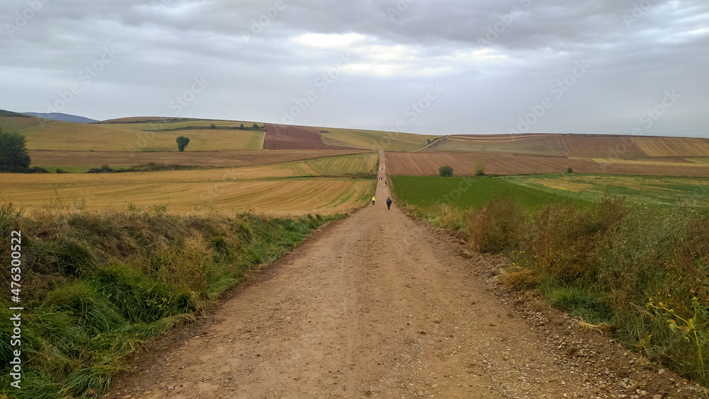 Country road among agricultural fields in summer. Pilgrims follow the path of St. James