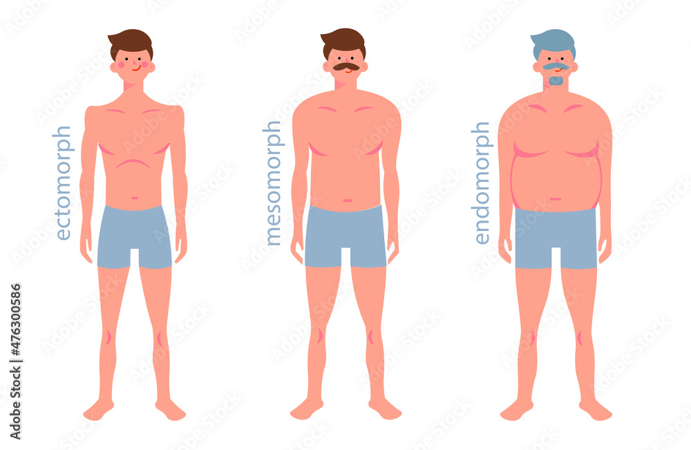 Somatic types, shapes of human body: ectomorph, mesomorph, endomorph ...