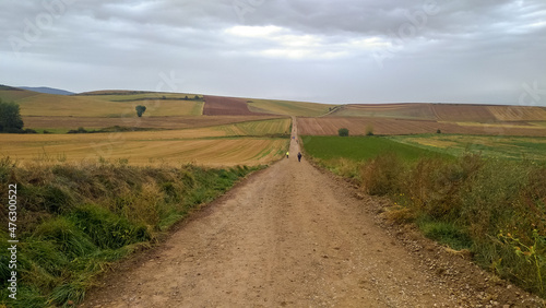 Country road among agricultural fields in summer. Pilgrims follow the path of St. James