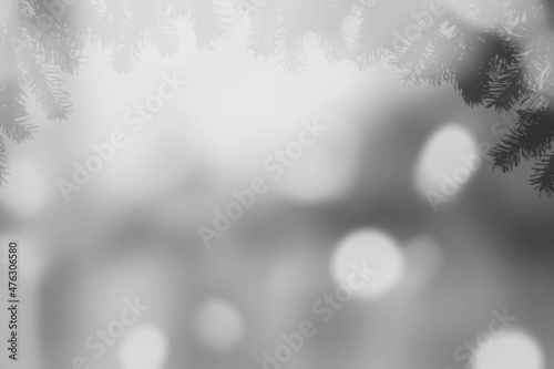 Blurred overlay effect for photo. Gray shadows of fir tree branches on a white wall. Abstract nature concept © BillionPhotos.com
