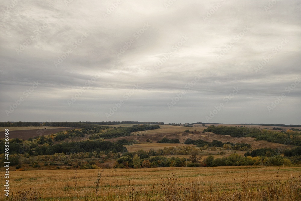 Fototapeta premium landscape with clouds