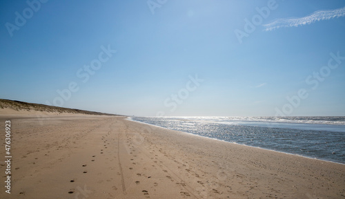 Empty beach on sunny day