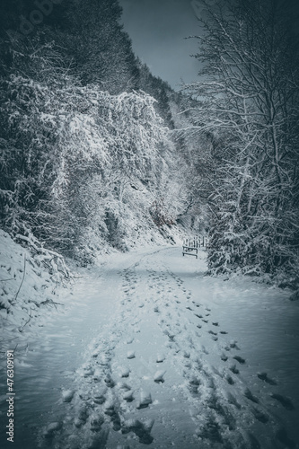 snow on the road