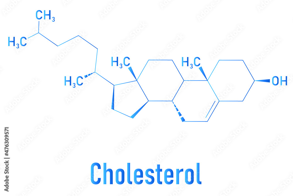Cholesterol molecule. Essential component of cell membranes and precursor of steroid hormones, bile acids and vitamin D. Skeletal formula. Cholesterol molecule. Essential component of cell membranes and precursor of steroid hormones, bile acids and vitamin D. Skeletal formula.