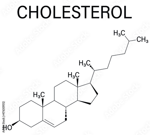 Cholesterol molecule. Essential component of cell membranes and precursor of steroid hormones, bile acids and vitamin D. Skeletal formula.