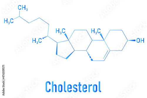 Cholesterol molecule. Essential component of cell membranes and precursor of steroid hormones, bile acids and vitamin D. Skeletal formula.