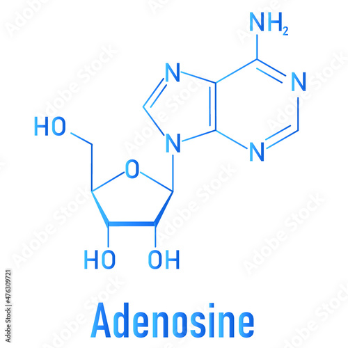 Adenosine or Ado purine nucleoside molecule. Important component of ATP, ADP, cAMP and RNA. Also used as drug. Skeletal formula. photo