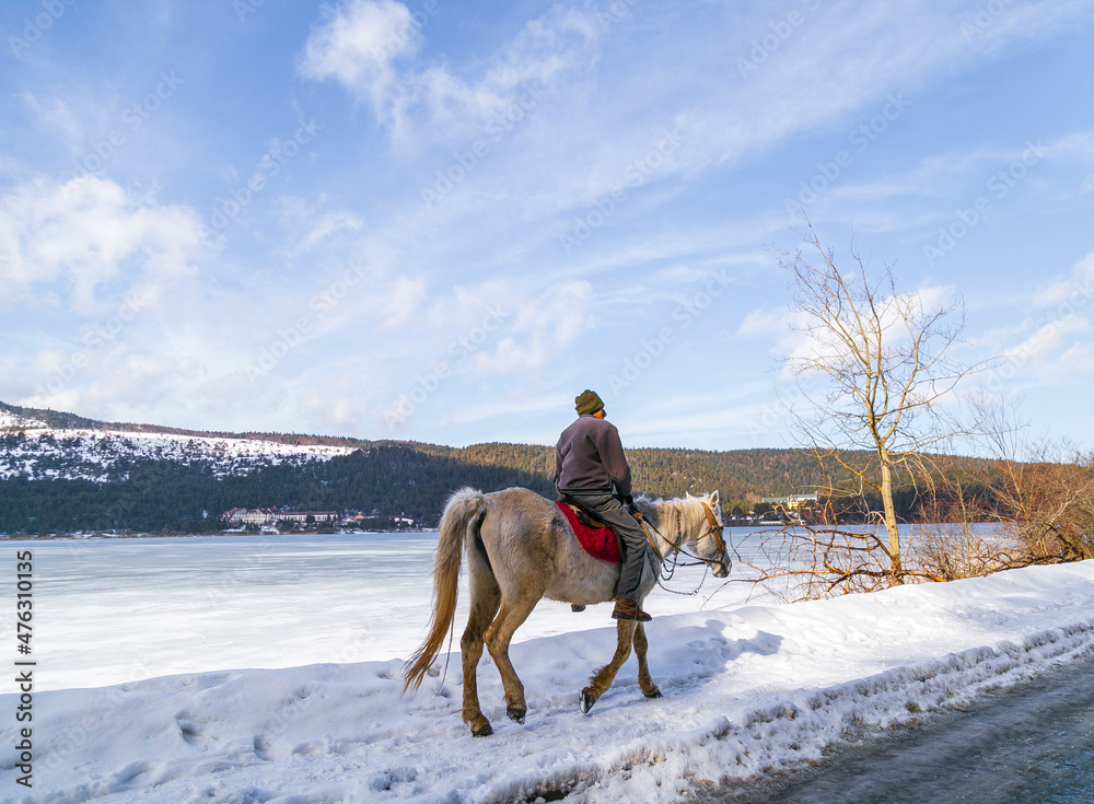 panoramic view of winter landscape. people walking on wooden walking path, with many snow and frozen trees. The Abant Lake Natural Park(Black Sea) Region. panoramic view of winter landscape. people walking on wooden walking path, with many snow and frozen trees. The Abant Lake Natural Park(Black Sea) Region.