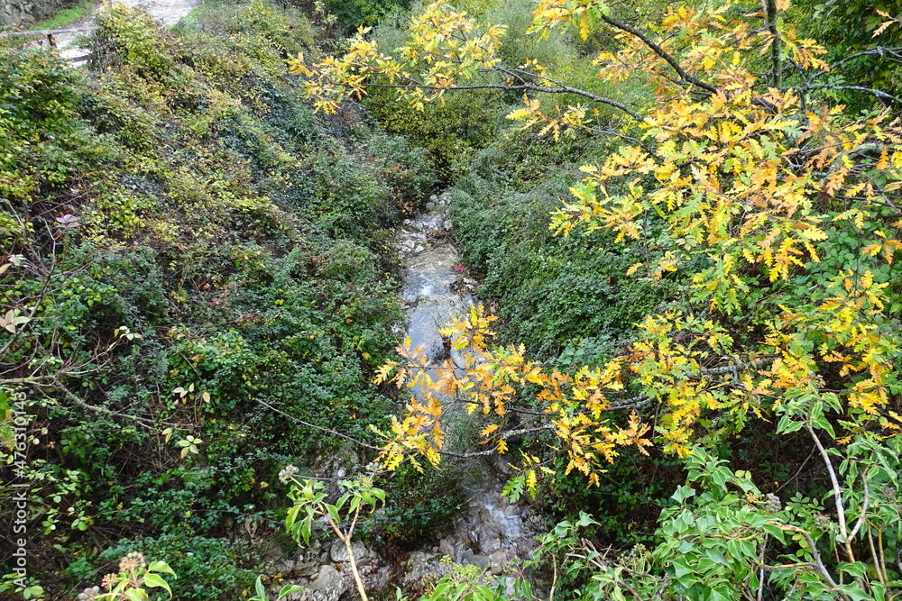 Fototapeta premium Guardiaregia