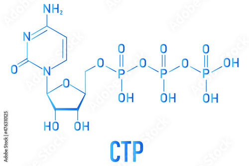 Cytidine triphosphate or CTP RNA building block molecule. Also functions as cofactor to some enzymes. Skeletal formula.