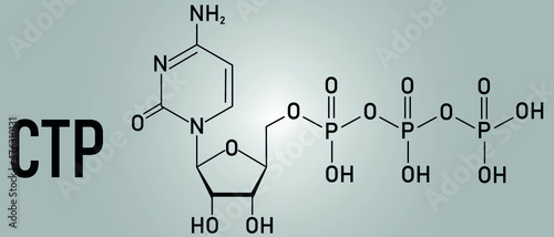 Cytidine triphosphate or CTP RNA building block molecule. Also functions as cofactor to some enzymes. Skeletal formula.